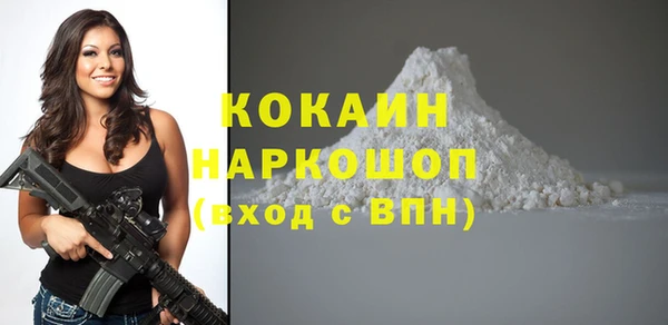стафф Алексин