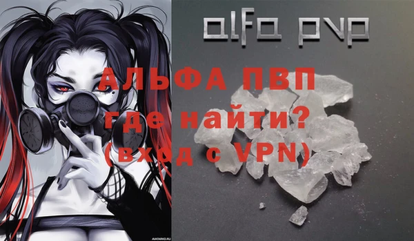 стафф Алексин